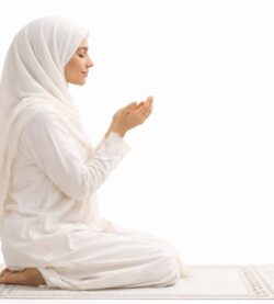 chatgpt image mar 12, 2026, 09 11 58 pm